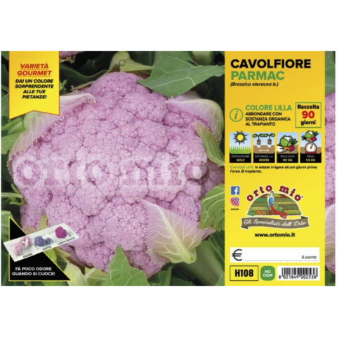Cavolfiore lilla "Parmac F1" [1 Plateaux da 6]