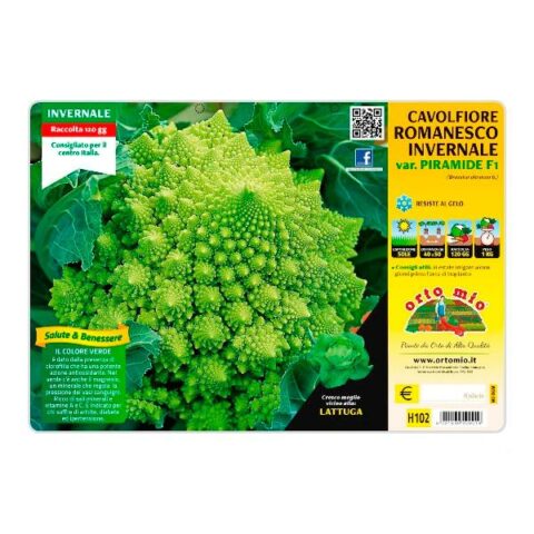 Cavolfiore romanesco invernale "PiramideF1" [1 Plateaux da 6]