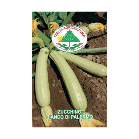 Zucchino bianco di Palermo (Semente)