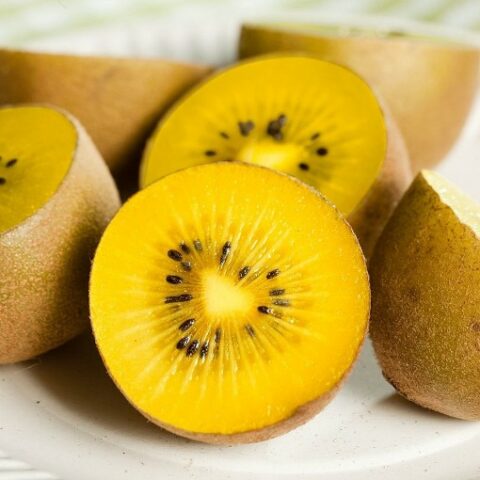 Actinidia chinensis "Airogold" - FEMMINA (Kiwi giallo) [Vaso 2 Litri]