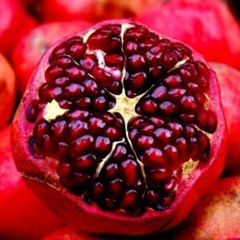 Punica granatum "Parfianka" (Melograno) [Vaso 20cm]