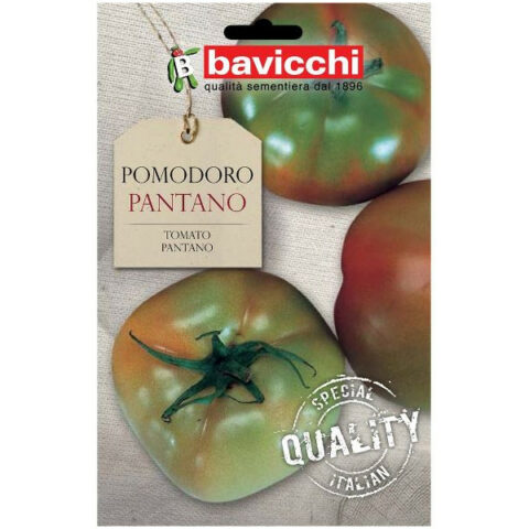 Pomodoro "Pantano" (Semente)