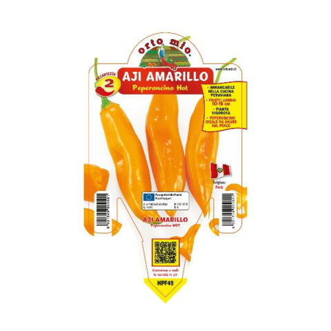 Peperoncino piccante "Aji Amarillo" [Vaso 14cm]