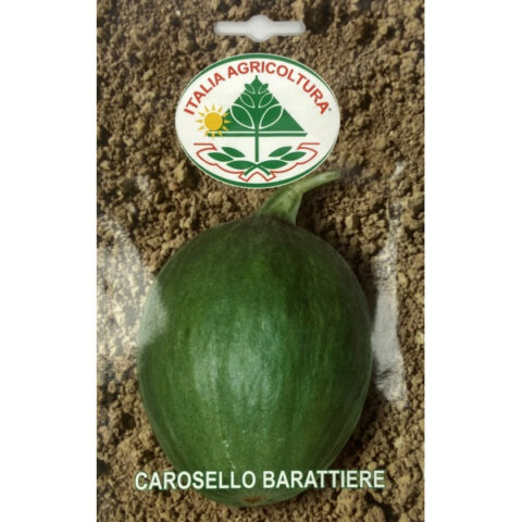 Carosello o Barattiere (Semente)