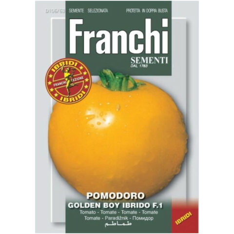 Pomodoro Golden Boy Ibrido F1 (Semente)
