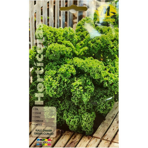 Cavolo verde Nano arricciato (Semente)