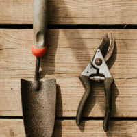 Utensili , strumenti e attrezzi da giardinaggio