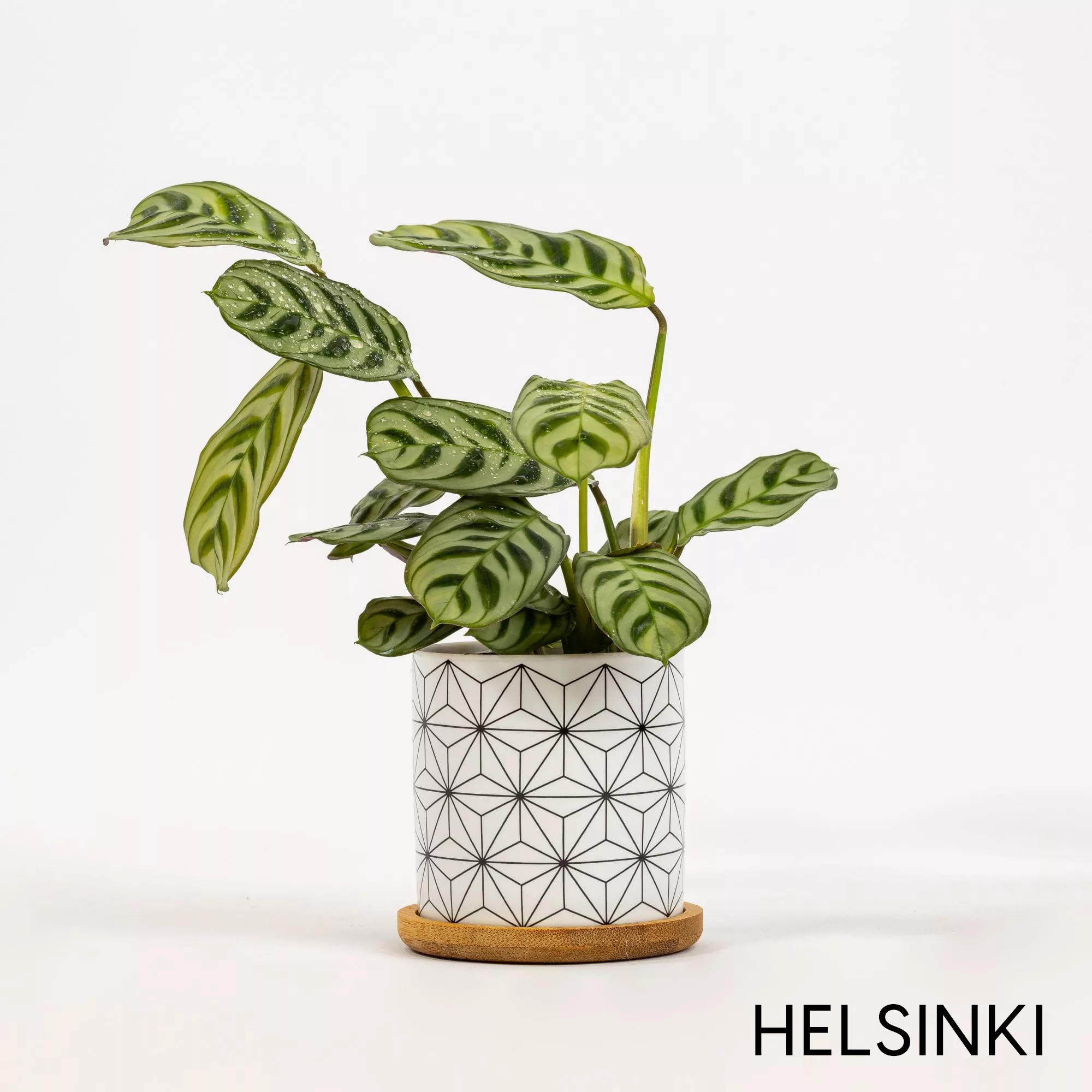 Vaso ceramica Black&White