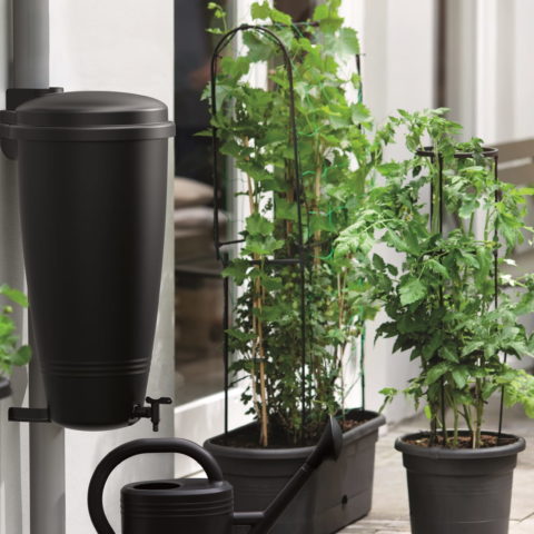 Raccoglitore d'acqua piovana GREEN BASICS RAIN CATCHER - Elho