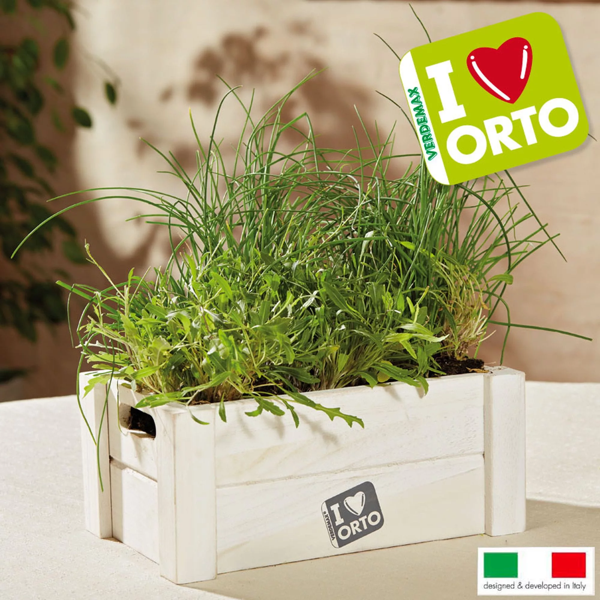 Easyorto Rucola/Erba cipollina