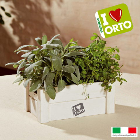 Easyorto Menta/Salvia