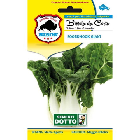 Bietola Fordhook Giant (Semente)
