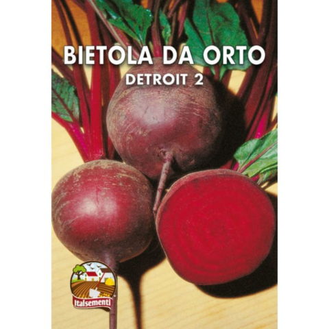Bietola da Orto Detroit (Semente)