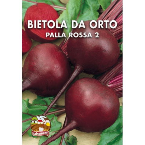 Bietola da Orto palla rossa (Semente)