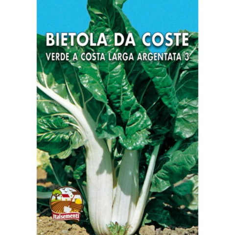 Bietola da Coste verde a costa larga argentata (Semente)