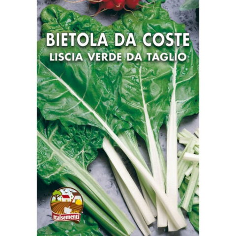 Bietola da Coste liscia verde da taglio (Semente)