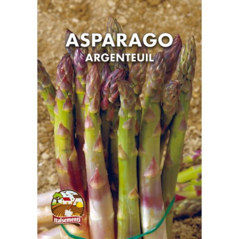 Asparago argenteuil (Semente)