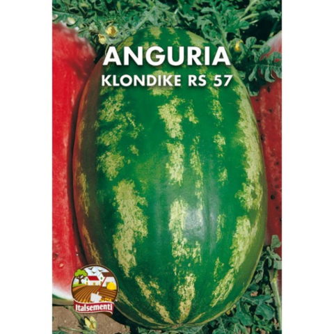 Anguria Klondike RS 57 (Semente)