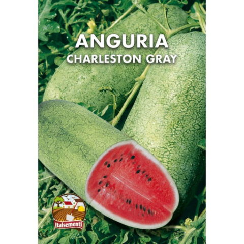 Anguria Charleston Gray (Semente)