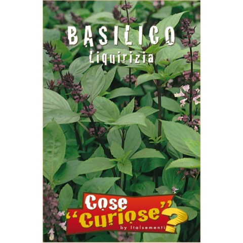 Basilico Liquirizia (Semente)