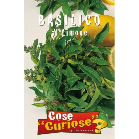 Basilico limone (Semente)