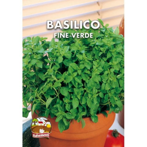 Basilico Fine Verde (Semente)