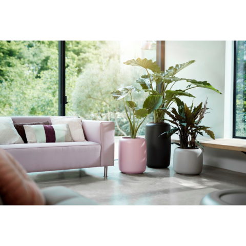 Vaso PURE BEADS - Elho