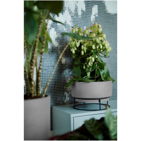 Vaso B.FOR STUDIO BOWL Elho