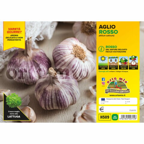 Aglio rosso tipo rosso di Sulmona "Gardos"