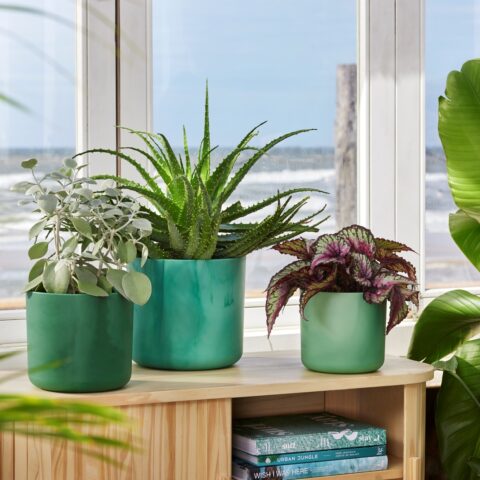 Vaso THE OCEAN COLLECTION - Elho