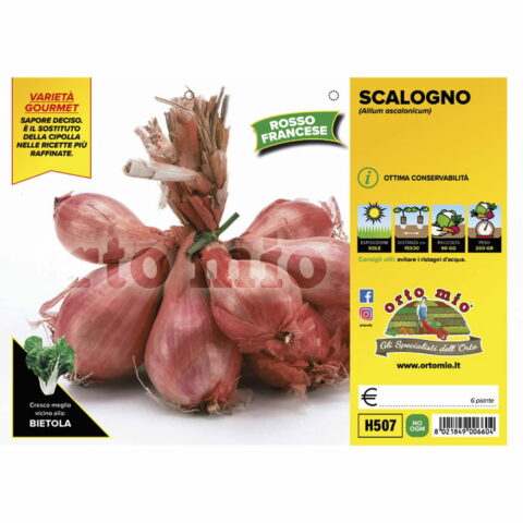 Scalogno rosso francese "Conservor F1"