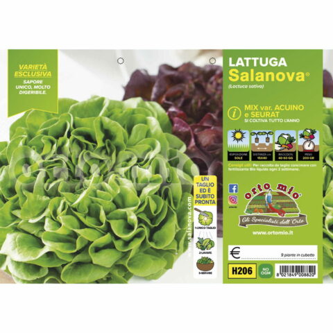 Lattuga Salanova mix a foglia liscia "Acuino/Seurat"