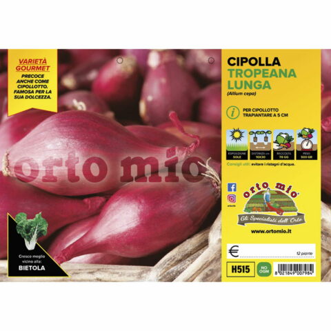 Cipolla tropeana rossa lunga