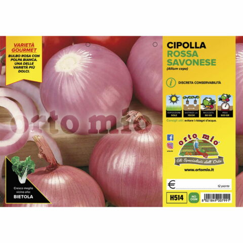 Cipolla rosata savonese