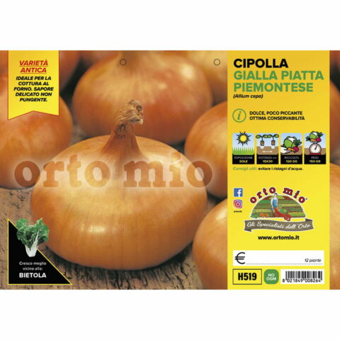 Cipolla gialla piatta piemontese