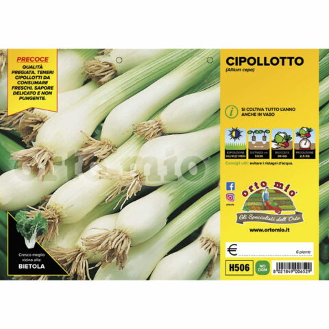 Cipolla per Cipollotto