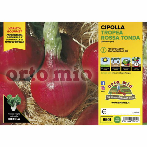 Cipolla di Tropea rossa tonda