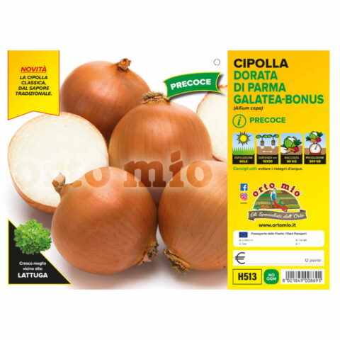 Cipolla dorata precoce di Parma