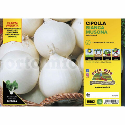Cipolla bianca tonda "Musona"