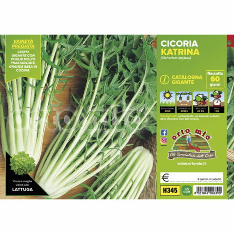 Cicoria e Radicchio catalogna gigante "Katrina F1"