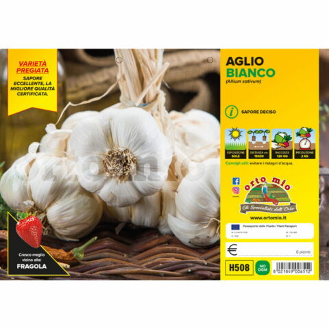 Aglio bianco Garcua