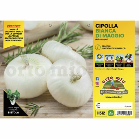 Cipolla bianca di Maggio