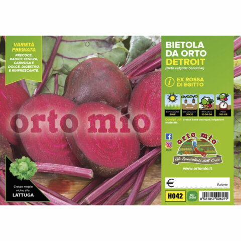 Bietola da orto Detroit "Moneta F1"