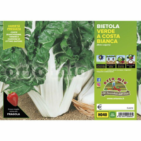 Bietola da costa e da taglio verde a costa bianca "Lusiana"