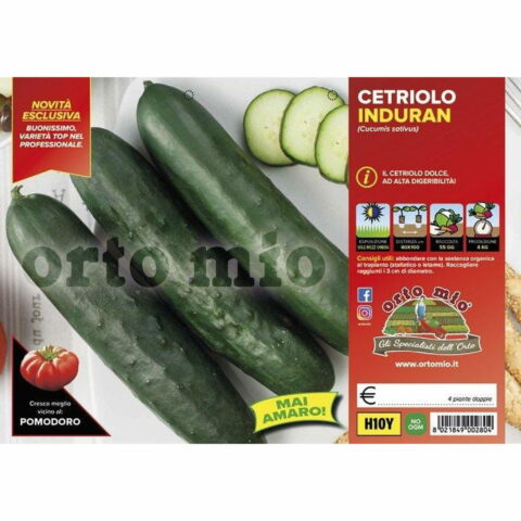 Cetriolo digeribile "Induran F1"