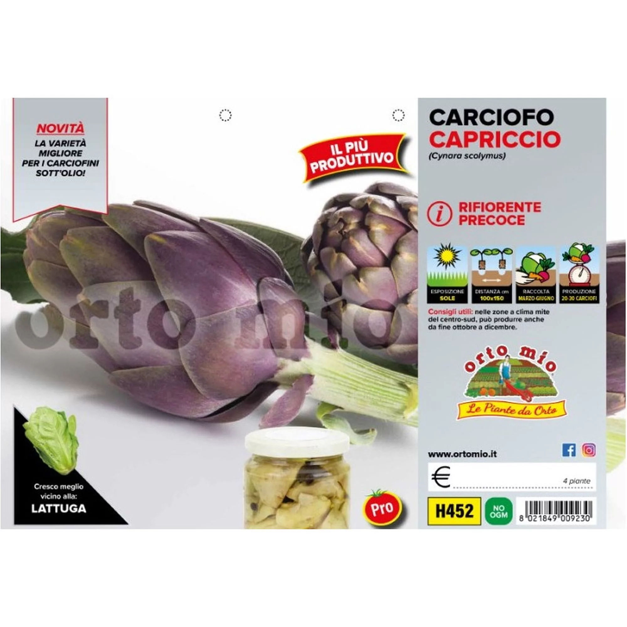 Carciofo violetto "Capriccio F1"