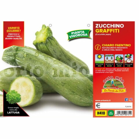Zucchino chiaro faentino "Graffiti F1/Rigas F1"