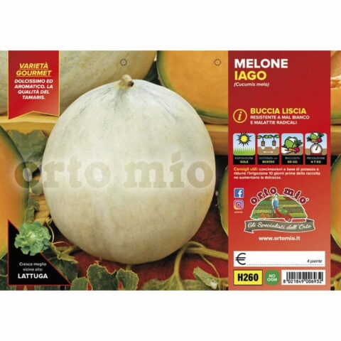 Melone liscio "Bacir F1"