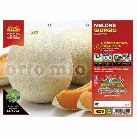 Melone retato senza fetta "Giorgio F1"
