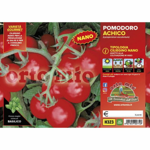 Pomodoro ciliegino nano "Achiko F1"